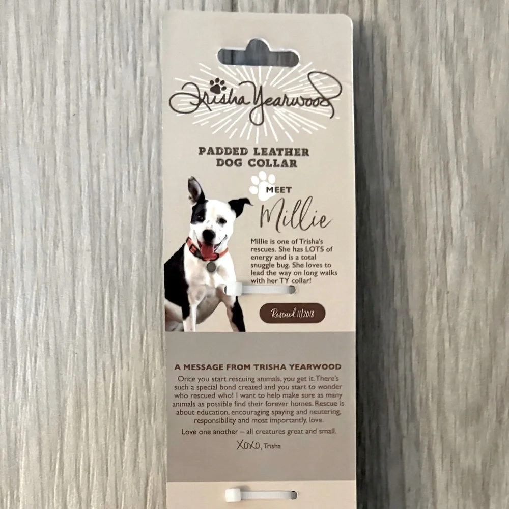 NEW Black Padded Dog Collar with Metal Buckle by Trisha Yearwood